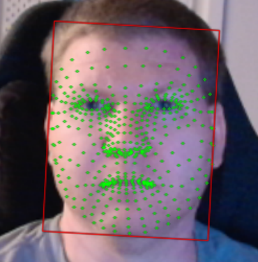 Facial Landmark Detection
